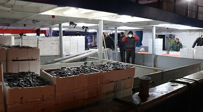 Zonguldak'ta balıkçılar 10 ton hamsi ile limana yanaştı