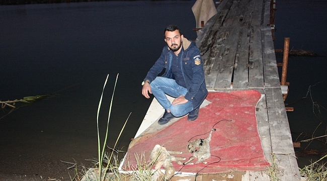 2 yavru kuzuyu ayaklarına ip bağlayıp Manavgat Irmağında ölüme terk ettiler