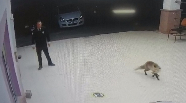 'Besle tilkiyi, çalsın anahtarını'