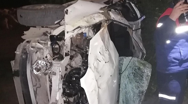Adana'da otomobil portakal bahçesine devrildi: 2 ölü