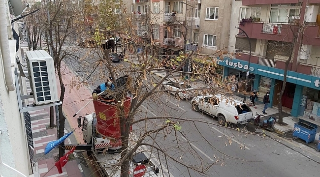 Ağaçta iki gün boyunca mahsur kalan yavru kedi kurtarıldı
