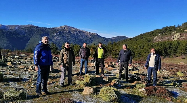 Akdağ'daki 'Kızılgeyikler' için yem bırakıldı