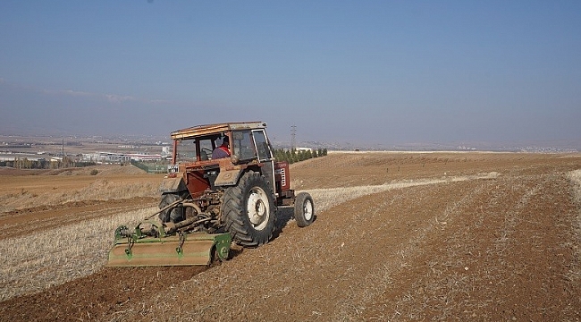 Akyurt'a 25 dönümlük meyve bahçesi
