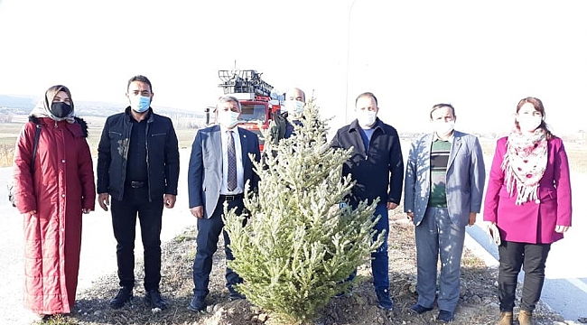 Alltıntaş'ta yatırımlar incelendi, fidan dikimi yapıldı