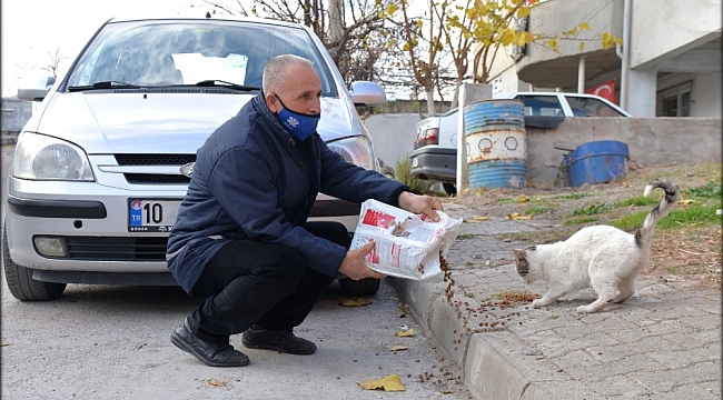 Altıeylül Belediyesi can dostlarını unutmadı