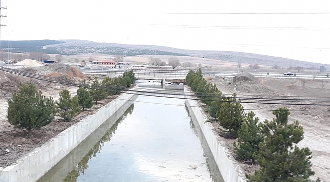 Altıntaş Avşar deresi ağaçlandırma çalışmaları