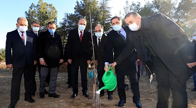 Amasya'da çiftçilere 'Amasya Misket Elması' fidanı dağıtıldı