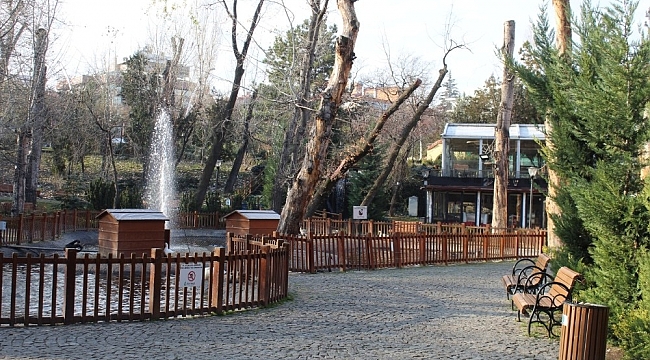 Ankara'da hafta sonu cadde ve sokaklar boş kaldı
