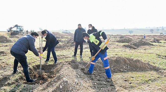 Ankara'ya 27 Aralık Ormanı