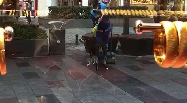 Arnavutköy'de yürek ısıtan görüntü