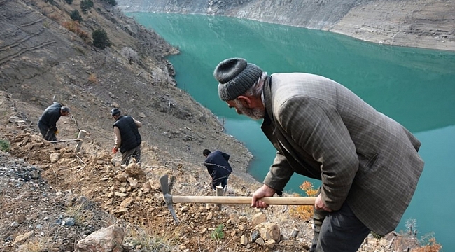 Artvin'de baraj havzaları ağaçlandırılıyor