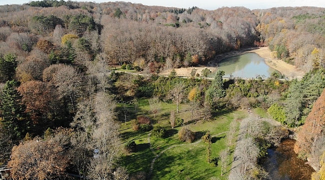 Atatürk Arboretumu'nda sonbahar manzarası