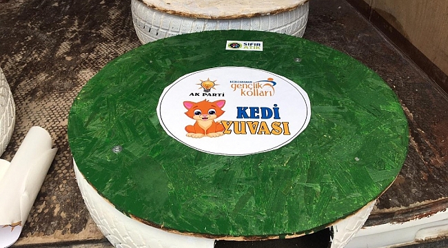 Atıklardan kedi yuvası