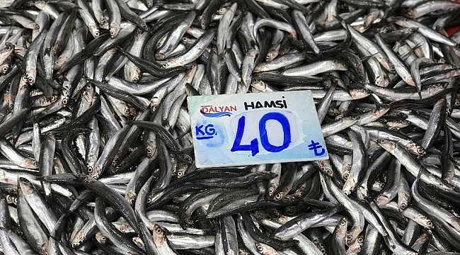 Balık fiyatları cep yakıyor