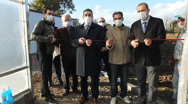 Balıkesir'de topraksız çilek üretimine başlandı