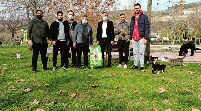 Başkan Şayir, sokak hayvanlarını unutmadı