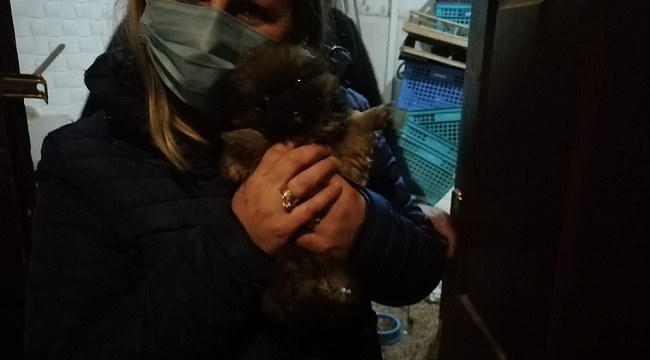 Başkent'te petshop baskını
