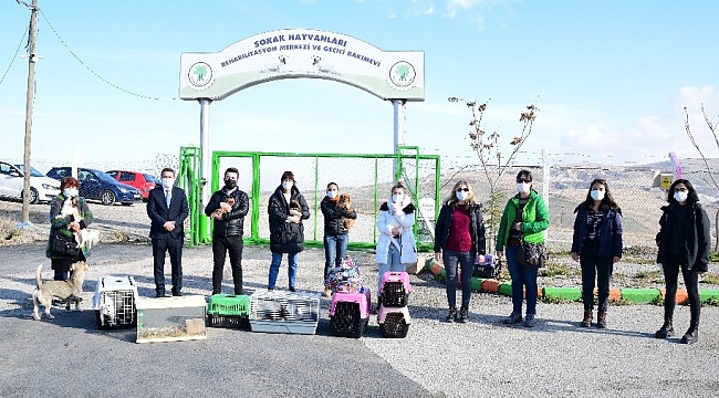 Başkent'te petshoplara yapılan baskında 21 hayvana el konuldu