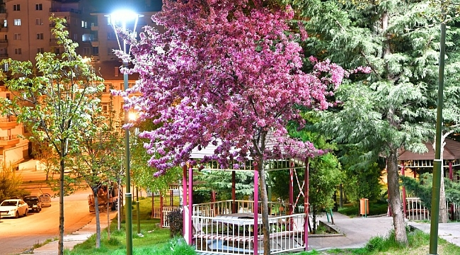 Başkentin parlayan yıldızı Mamak