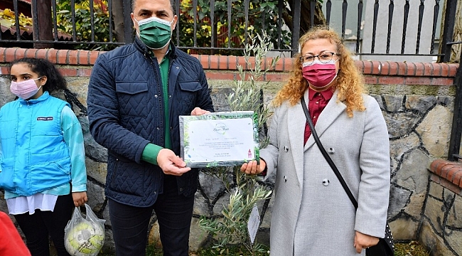 Beyoğlu'nda yeni doğan her çocuk için bir zeytin fidanı dikiliyor