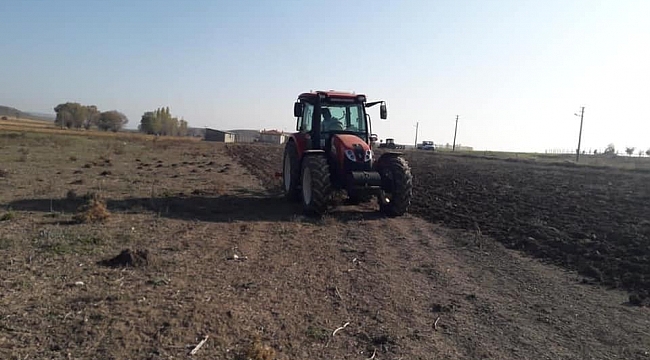 Bu ilçede buram buram lavanta kokacak