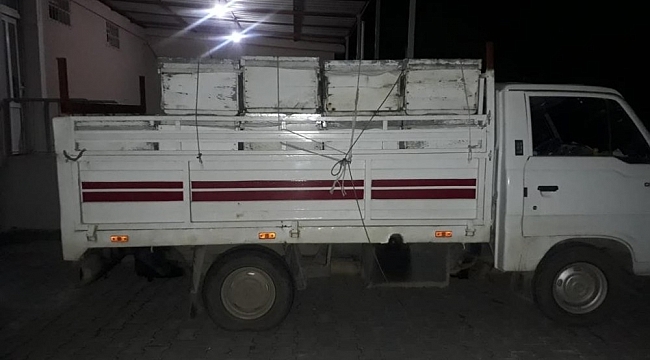Burhaniye'de arı hırsızı jandarmadan kaçamadı