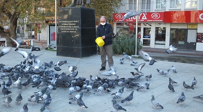 Burhaniye'de güvercinleri imece ile besliyorlar