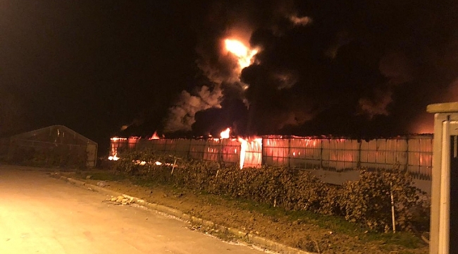 Bursa'da strafor fabrikası alev alev yandı