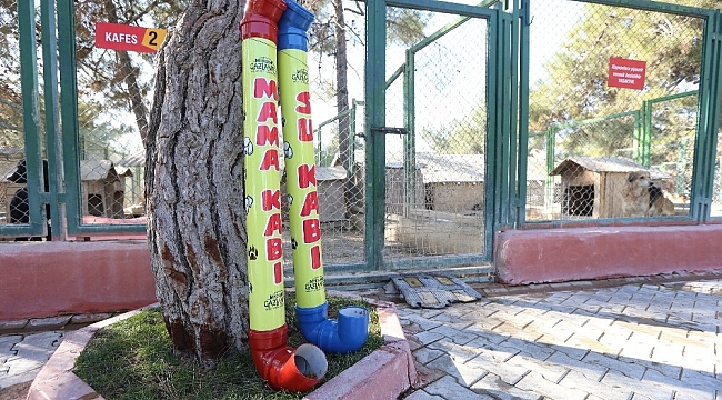 Büyükşehir, yılbaşı kısıtlamalarında sokak hayvanlarını aç bırakmayacak