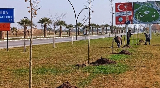 Büyükşehirden ağaçlandırma seferberliği