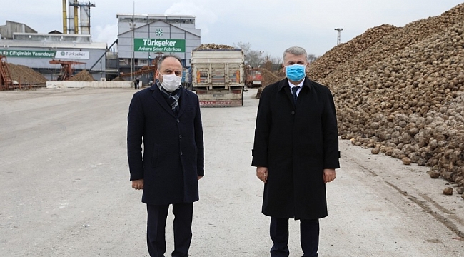 Canbey'den Susurluk'a topraksız sera talebi