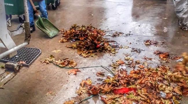 Cumayeri'nde sonbahar temizliği
