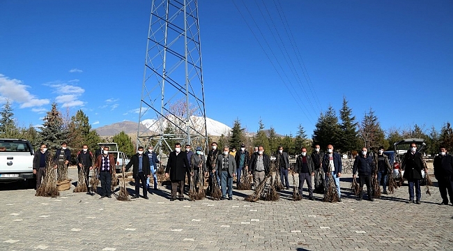 Develi'de 12 bin ceviz ağacı dağıtıldı