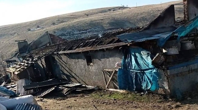 Elektrik kontağından çıkan yangın, 12 hayvanı telef etti