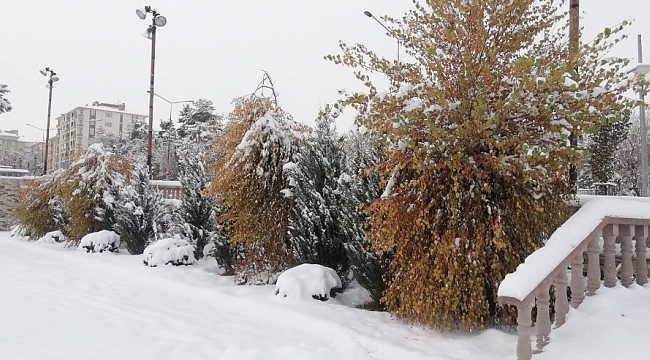 Erzurum kar'a teslim