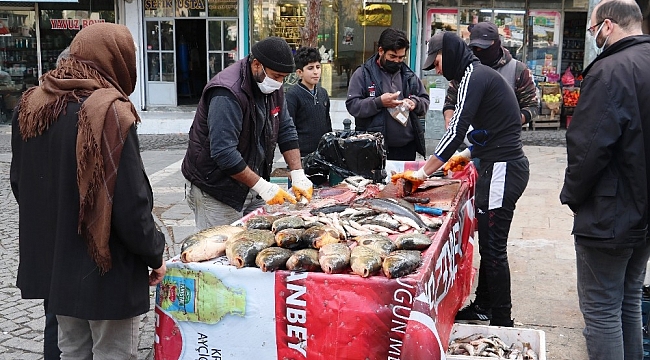 Fırat'ın balıkları geçim kaynağı oldu