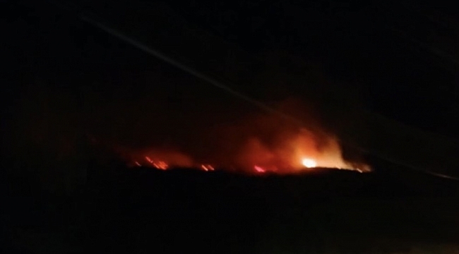 Hatay'da 4 ayrı noktada yangın