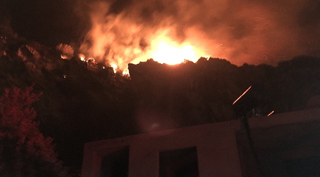 Hatay'da çıkan yangın 6 saat sonra söndürüldü soğutma yapılıyor