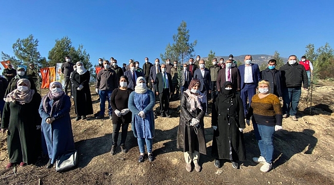 Hatay'da Dostluk Ormanı uluşturuldu
