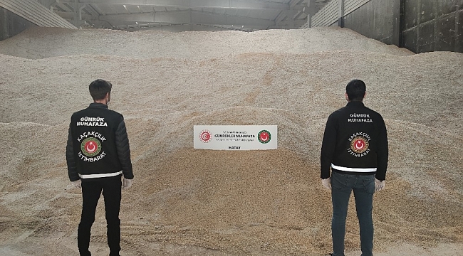 Hatay'da genetiği değiştirilmiş 5 bin ton pirinç ele geçirildi