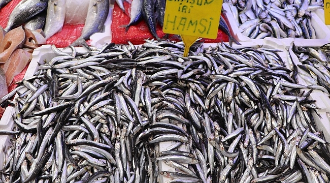 Havalar soğudu, balıklar yağlandı