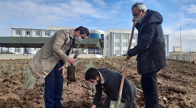 Havsa Meslek Yüksekokulu'nun havası, aromatik bitkilerle değişecek