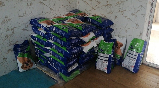 HAYTAp'tan kedi ve köpekler için mama bağışı