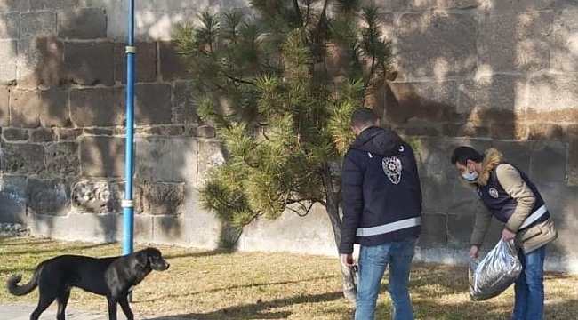 Hayvanların kısıtlamadan etkilenmemesi için polis doğaya yem bıraktı
