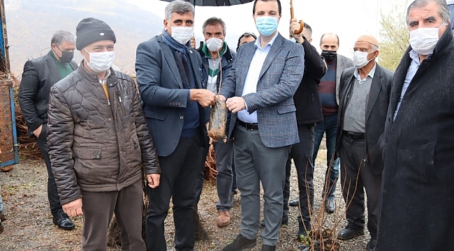 Hazro'da çiftçilere 28 bin adet fıstık, ceviz ve badem fidanı dağıtıldı