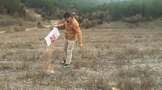 Hisarcık'ta iki hayvan sever kuşlar için doğaya yem bıraktı