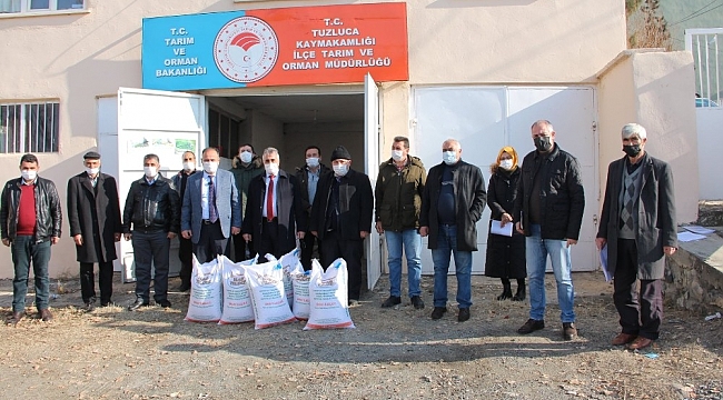 Iğdır'da çiftçilere Baklagil tohumu dağıtıldı