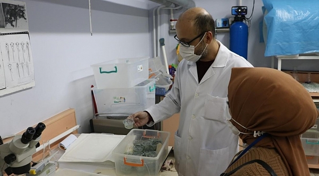 İlaçların olumsuz etkileri deney hayvanlar üzerinde araştırılıyor