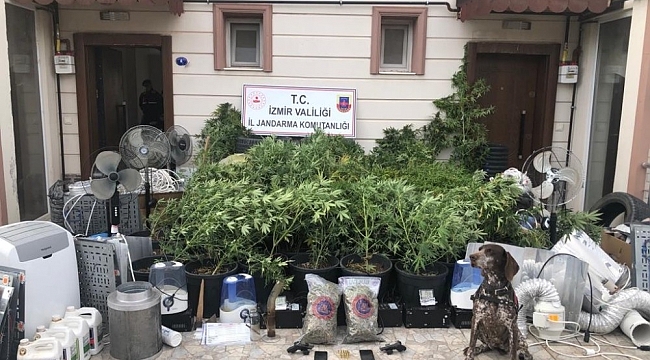 İzmir'de uyuşturucu serasına operasyon: 4 gözaltı