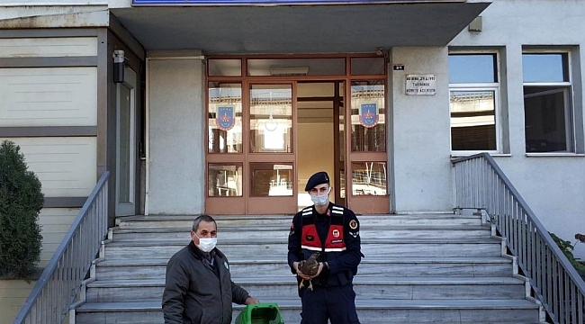 Jandarmadan örnek davranış